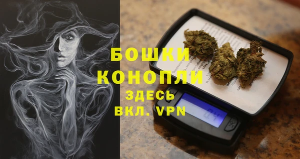 индика Пролетарск