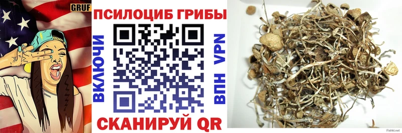 Псилоцибиновые грибы Psilocybine cubensis  Заволжье 