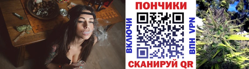 Бошки марихуана OG Kush  Заволжье 